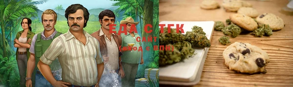 дмт Алексин