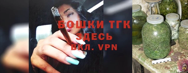 дмт Алексин