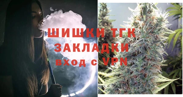 дмт Алексин