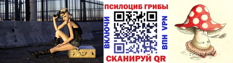Галлюциногенные грибы Cubensis  дарнет шоп  Чехов 